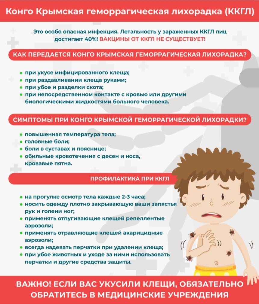 Конго крымская геморрагическая лихорадка что. Профилактика Конго-Крымской геморрагической лихорадки. Конго Крымская лихорадка.